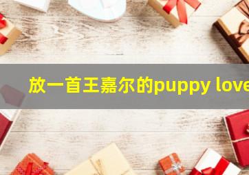 放一首王嘉尔的puppy love